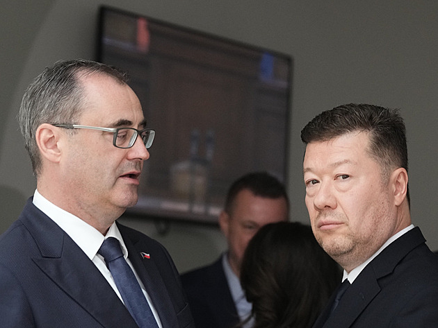 Vládní politici o opatření ÚS: Nezvykle rychlý verdikt, podjatý soud, ústavní puč
