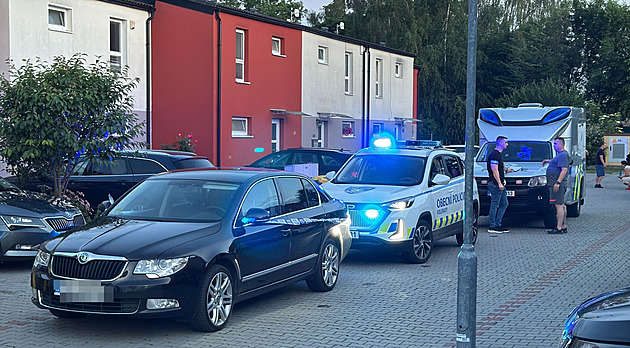 Za střelbu na zákazníka hrozí taxikáři až desetileté vězení