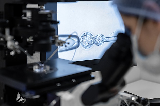 Artificial insemination for single women? Child needs a father and mother, says coalition