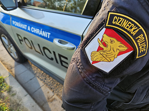 Czech Police Detect Double the Number of Foreigners Using Fake IDs Amidst Increased Checks