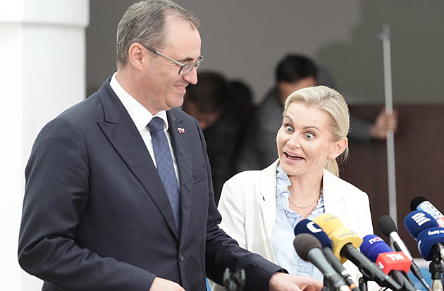 Až na deset let do vězení za uspávací prášek do pití, navrhují Štastný a Malá