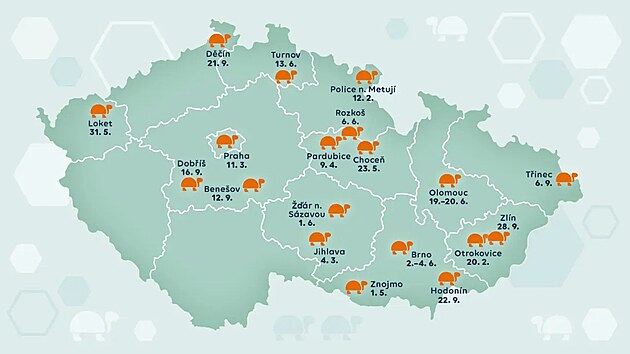https://www.zvolni.cz/zelvak-putovani/