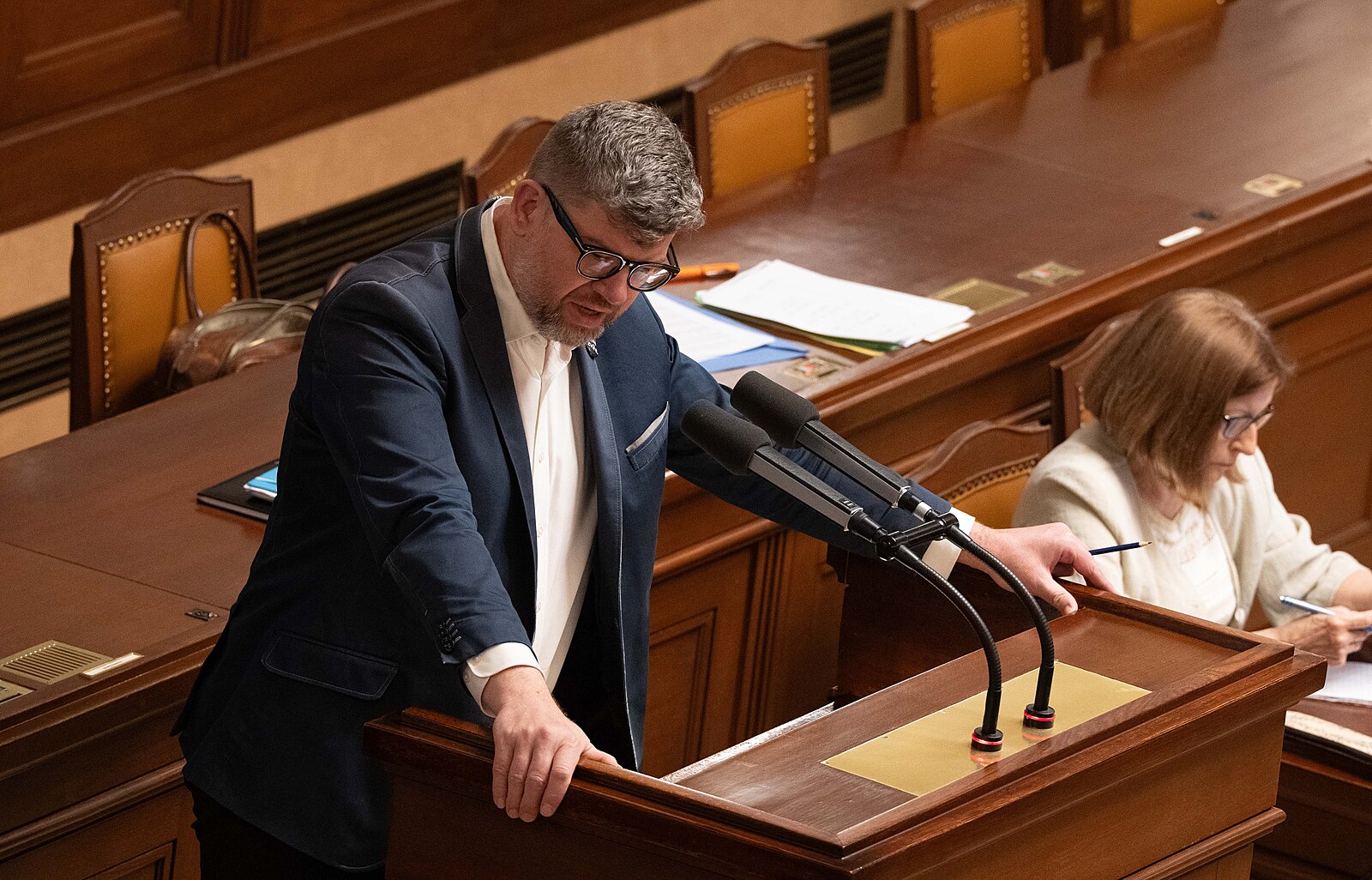 Zrušení pravomocí prezidenta k vedoucím misí skončí u Ústavního soudu, řekl Pospíšil
