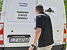Dv� sami�ky aligátora �ínského se narodily v roce 2023 v jihlavské zoo. Nyní...