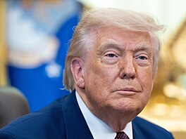 Prezident Donald Trump hovo�í v Oválné pracovn� Bílého domu ve Washingtonu. (3....
