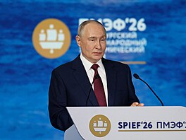Ruský prezident Vladimir Putin na Petrohradském mezinárodním ekonomickém fóru...