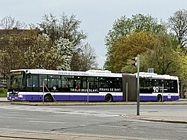 Pra�ský dopravní podnik �elí kv�li slogan�m kritice. (2026)