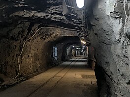 B�hem následujících deseti let odsud bylo z této pr�zkumné �toly vyvezeno asi...