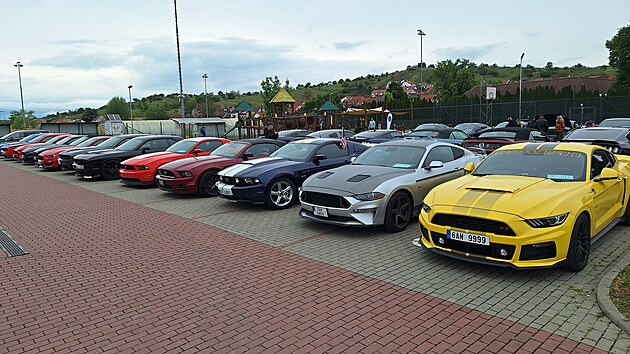 Nejobvyklej�� typy? Mustangy, camara a challengery