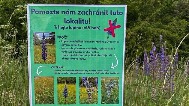 Na Kabátov� kopci u Krnova se objevily tabule vyzývají k likvidaci vl�ího bobu ...