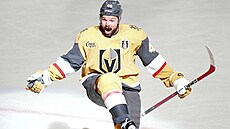 Tomá� Hertl v euforii po gólu do sít� Caroliny ve t�etím finále NHL.