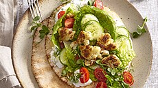 Gyros s restovaným kv�tákem