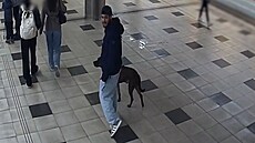 Policie pátrá po mu�i, který náhodnému kolemjdoucímu vyhro�oval smrtí.