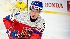 Adam Novotný kontroluje puk ve finále MS junior� proti �védsku.