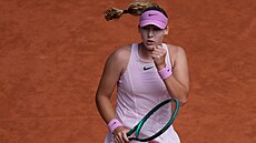 Mirra Andrejevová b�hem finále Roland Garros
