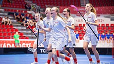 Dívky odehrají florbalová utkání v Hale Jedenáctka SH Ji�ní M�sto.
