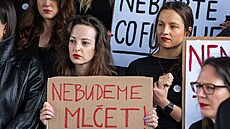 Protest iniciativy Ve�ejnoprávn� s podporou odbor� proti postupu vládní koalice...
