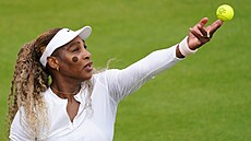 Americká legenda Serena Williamsová na tréninku p�ed svým o�ekávaným návratem...