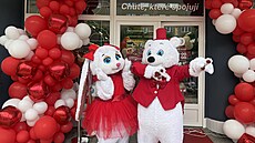 Na �eský trh vstoupil ukrajinský �et�zec Best Market, první prodejnu slavnostn�...