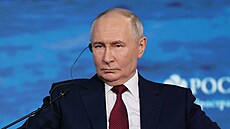 Ruský prezident Vladimir Putin na Petrohradském mezinárodním ekonomickém fóru...