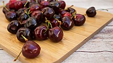 T�e�n� obsahují melatonin. Hrst t�e�ní denn� je dobrá pro psychiku.