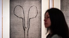 Výstava Milo�e �ev�íka v Museu Kampa