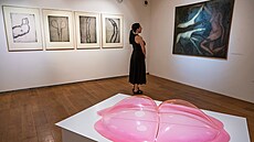 Výstava Milo�e �ev�íka v Museu Kampa