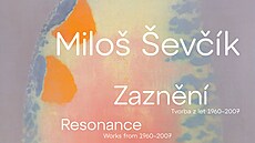 Výstava Milo�e �ev�íka v Museu Kampa