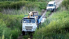Pra�ská zoologická zahrada vypustila �ty�i h�ebce kon� P�evalského do...