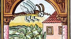 Invaze �ravých kobylek na A�sku v roce 1693. Kresba z kroniky m�sta Chebu...
