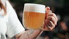 Bud�jovický Budvar spojil síly s dánským kultovním pivovarem Mikkeller a...