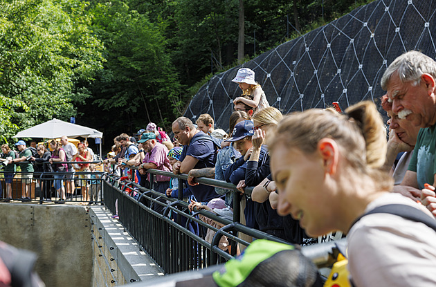 Musíte na ně dánsky. V brněnské zoo přivítali do smečky lední medvědice
