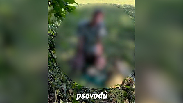 Třináctiletý chlapec si zkoušel přežití v lese, hledaly ho d