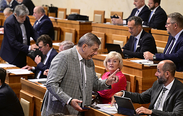 Senate to Decide on Parental Allowance Increase from January