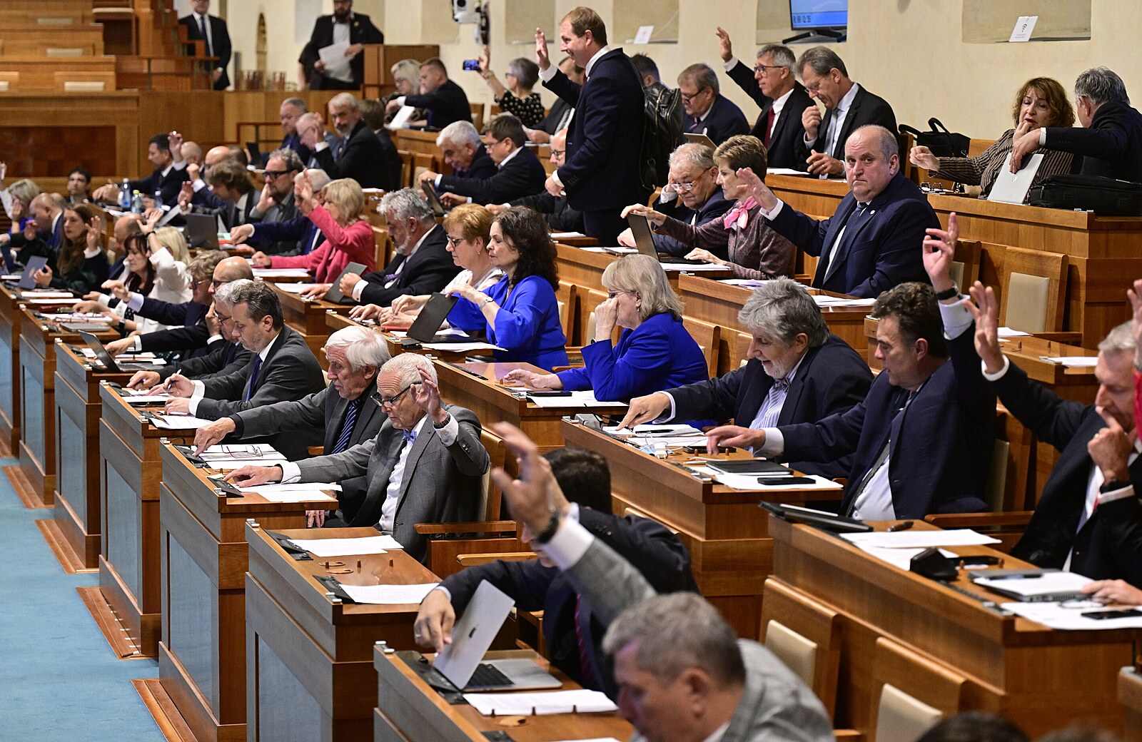 Senát je česká posvátná kráva. Musíme kvůli bezpečnosti jet se zataženou ruční brzdou? | Názory