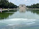 Odrazový bazén u památníku ve Washingtonu po nat�ení na modro zezelenal