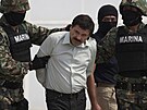 V roce 2016 byl El Chapo zat�en. O sedm let pozd�ji i Ema. Byla odsouzena za...