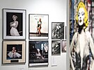 Výstava Marilyn Monroe 100, kterou p�ipravila �eská Galerie Moderního Um�ní....