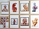 Výstava Marilyn Monroe 100, kterou p�ipravila �eská Galerie Moderního Um�ní....