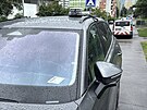 V Machkov� ulici na pra�ském Chodov� zavra�dil syn svého otce. (12. �ervna 2026)