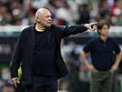 Trenér Miroslav Koubek udílí pokyny b�hem zápasu proti Ji�ní Koreji na...