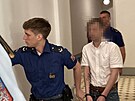 Dev�tat�icetiletý Lubo� J. dostal u soudu v Plzni trest 6,5 roku za zneu�ívání...