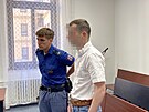 Dev�tat�icetiletý Lubo� J. dostal u soudu v Plzni trest 6,5 roku za zneu�ívání...