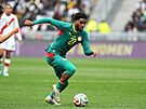 Ibrahim Mbaye (24. ledna 2008) hraje na pozici úto�níka za francouzský klub...