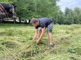 Trávu je nutné odklízet i v pr�b�hu sekání, aby se kosa neucpávala. (15. �ervna...