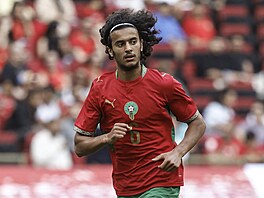Ayyoub Bouaddi (2. �íjna 2007) hraje jako zálo�ník za francouzský klub Lille....
