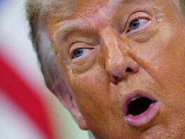Prezident Donald Trump na snímku z 10. �ervna 2026