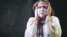 Libereck�© divadlo uvede adaptaci románu o ženách s magickou silou