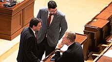 Mimo�ádná sch�ze Sn�movny k mo�nému st�etu zájm� premiéra Andreje Babi�e. Na...