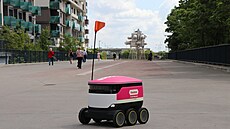 Doru�ovací roboti foodora na Praze 13. (�erven 2026)